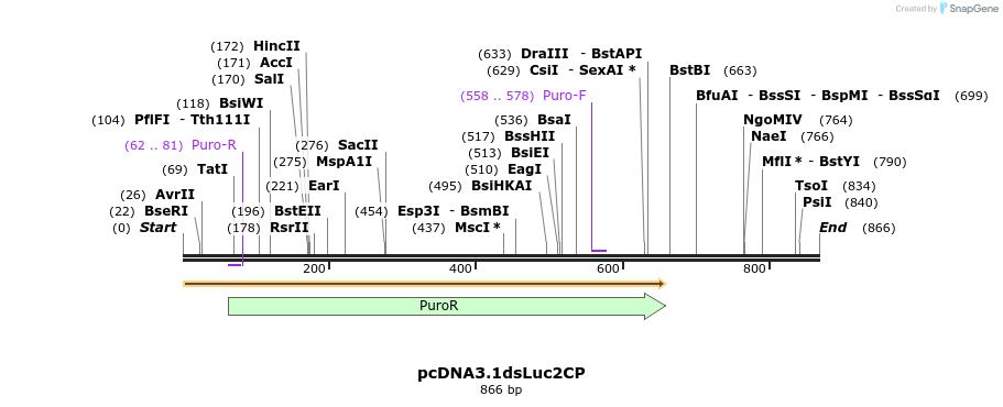 121447_map