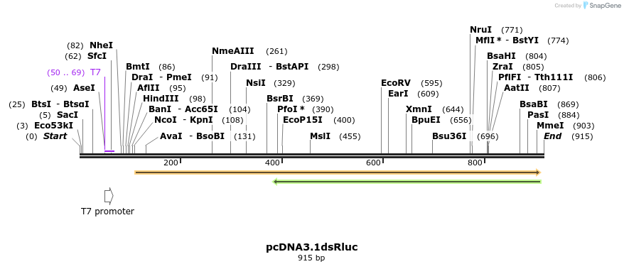121453_map