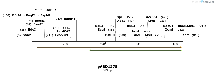 121460_map