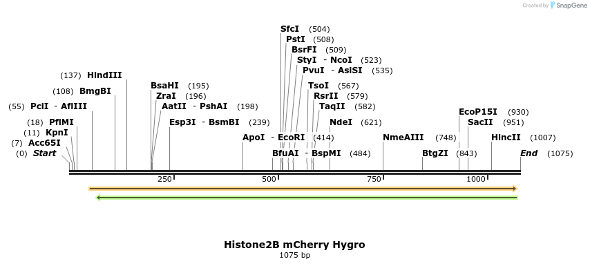 121467_map