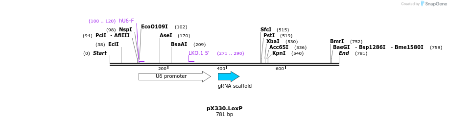 121468_map