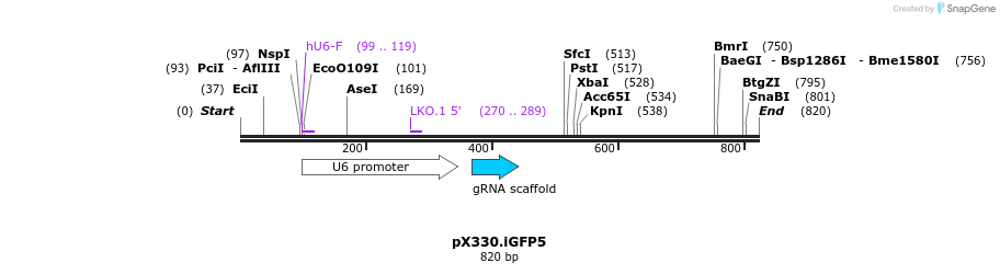 121469_map