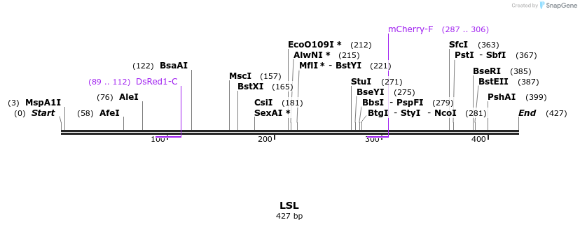121470_map