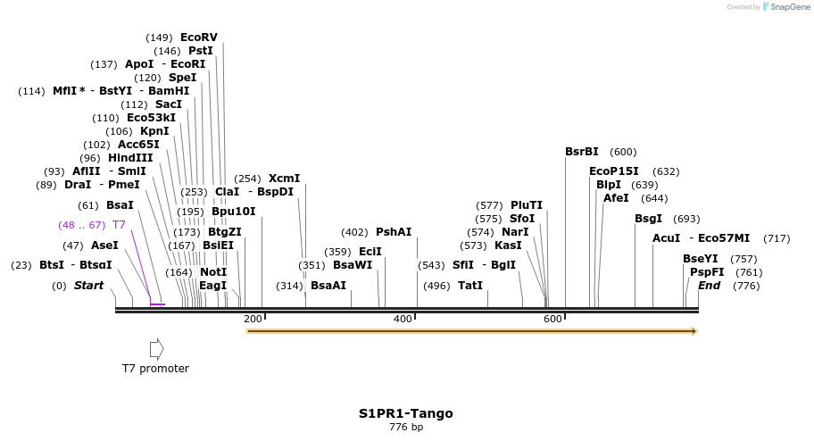 121471_map