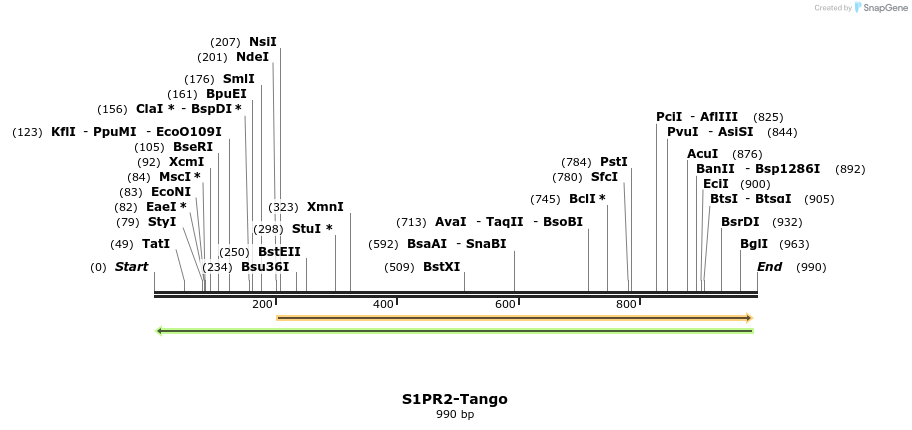 121475_map
