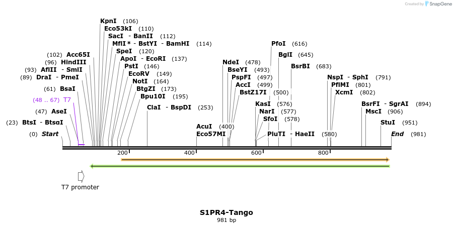 121478_map