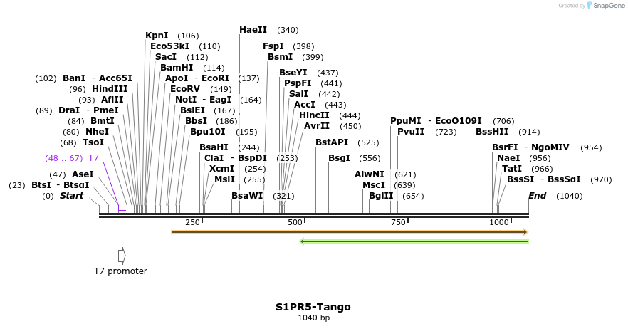 121480_map