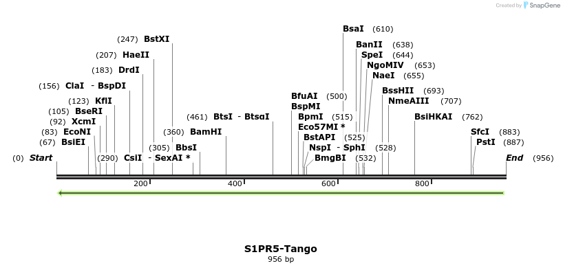 121481_map