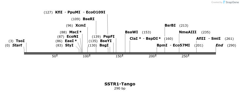 121484_map