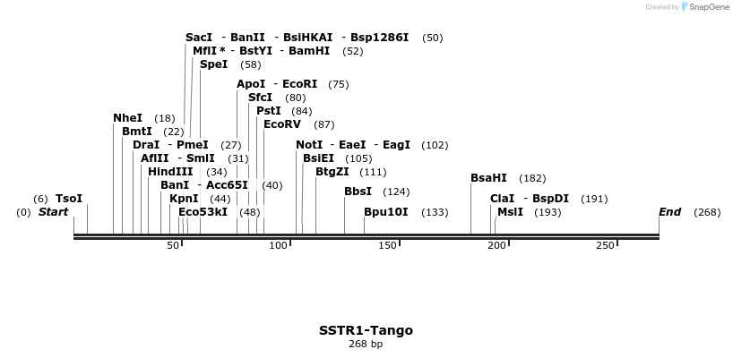 121485_map