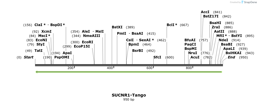 121488_map