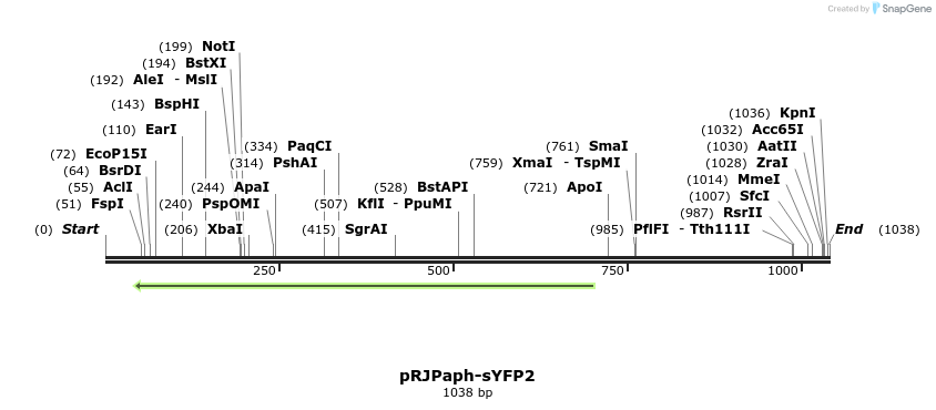 121489_map