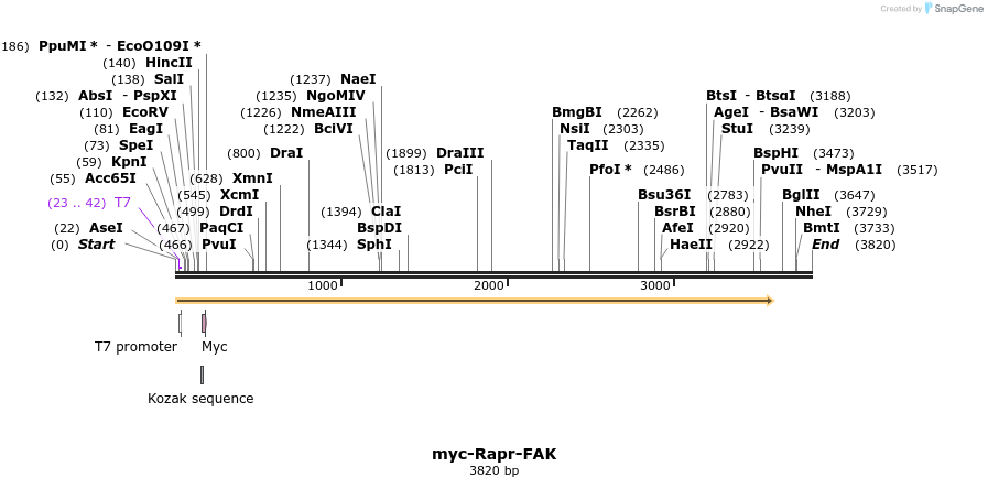 12149_map