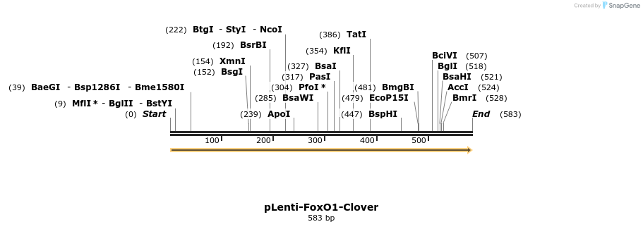 121492_map