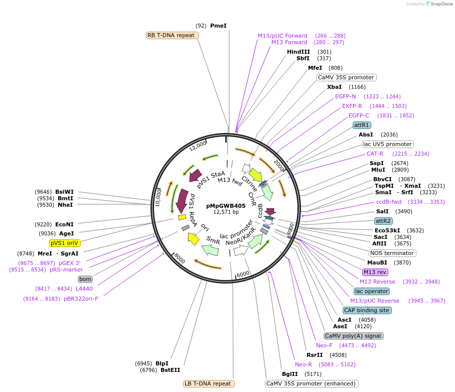 121504_map