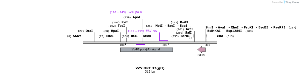 121505_map