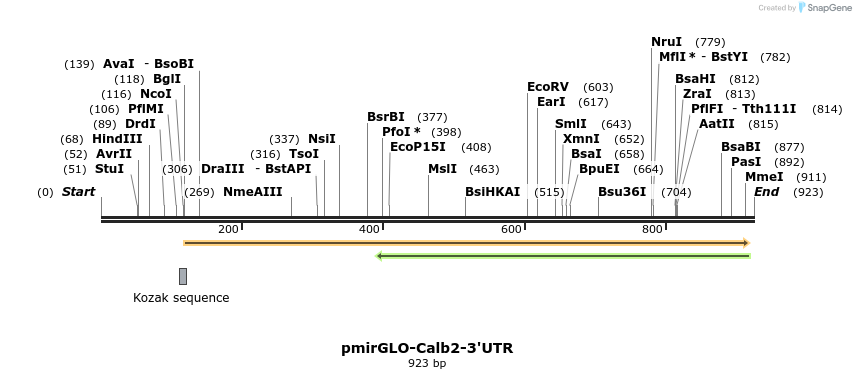 121511_map