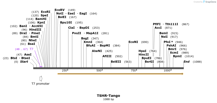 121512_map