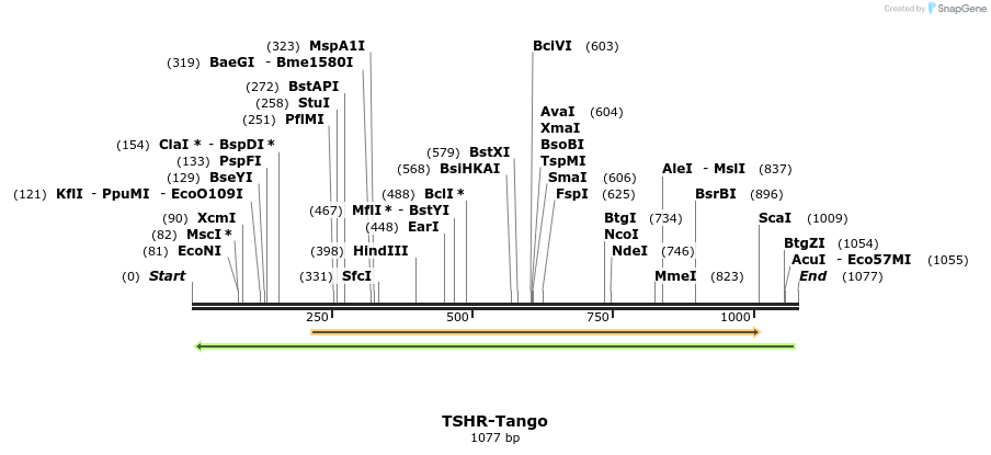 121514_map