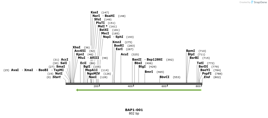 121515_map