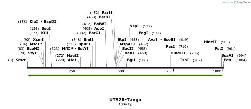 121517_map