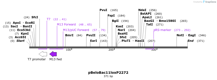 121518_map