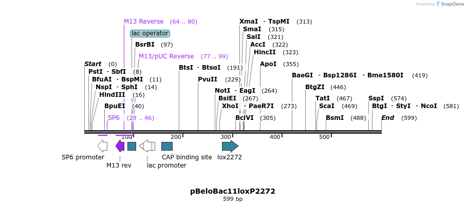121519_map