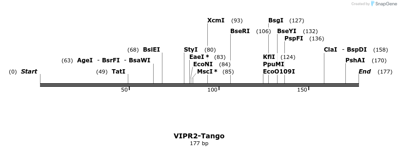 121524_map