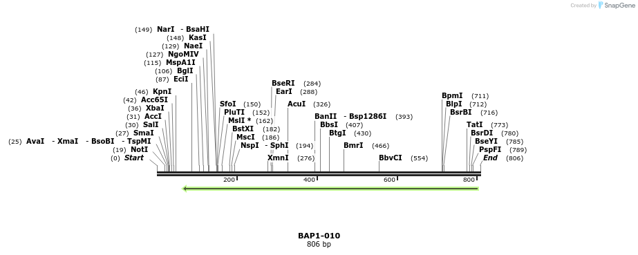 121529_map