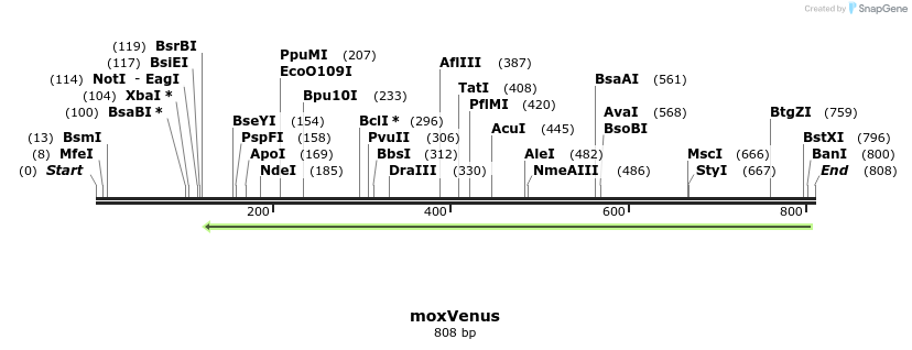 121536_map