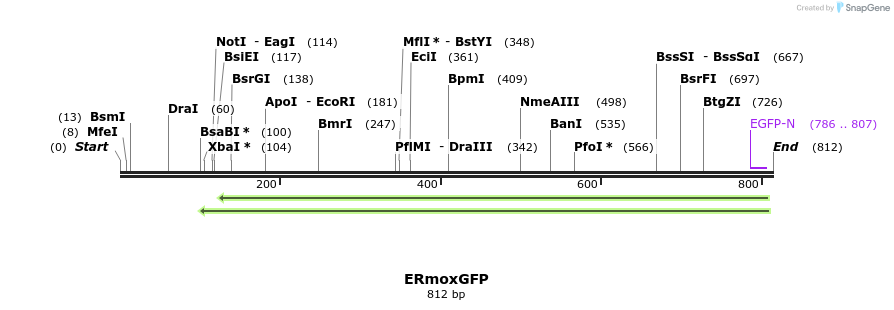 121539_map