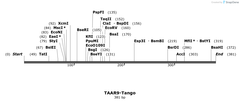 121542_map
