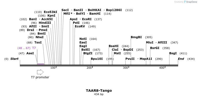 121543_map