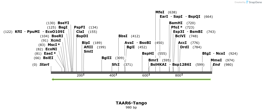 121547_map