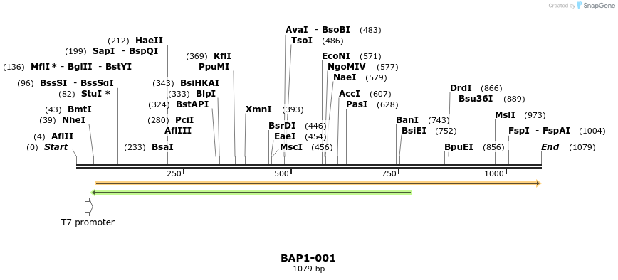 121549_map