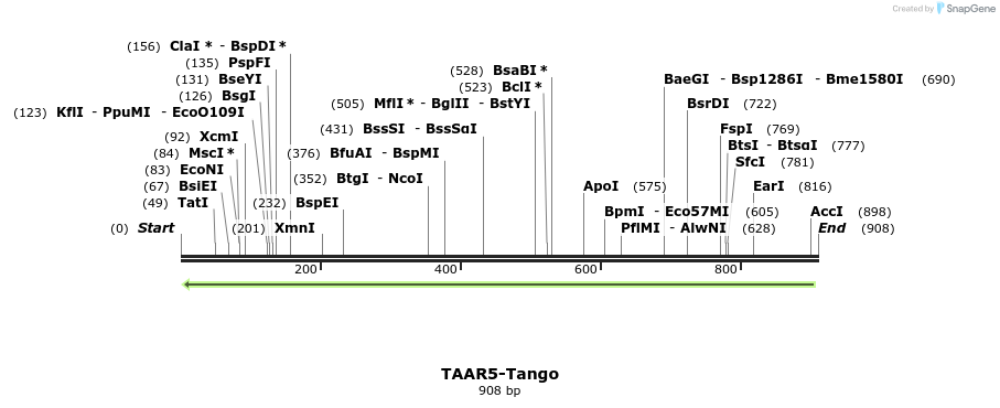 121550_map