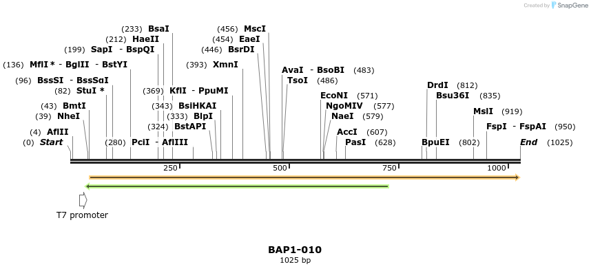 121552_map