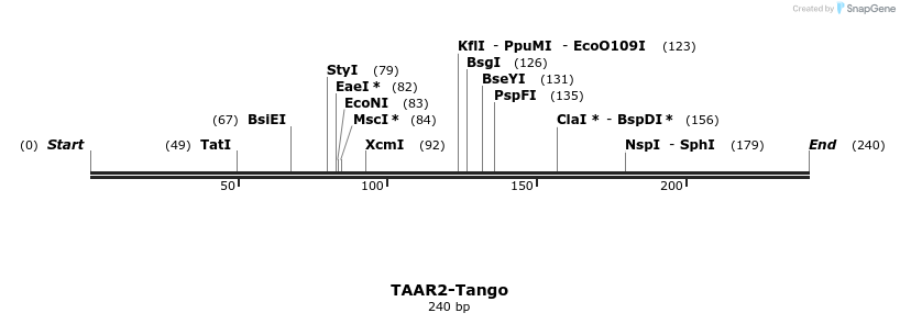 121553_map