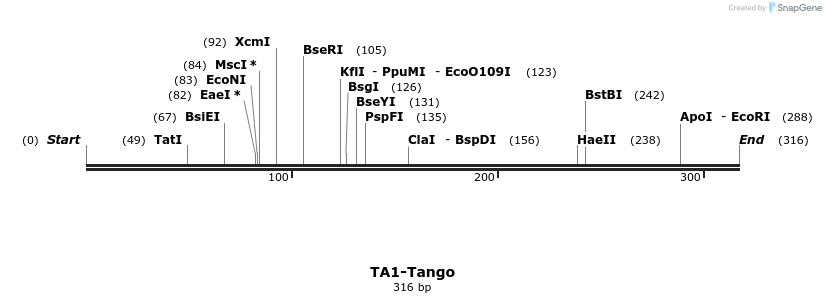 121555_map