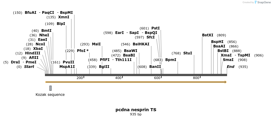 121556_map