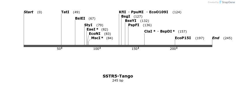 121558_map