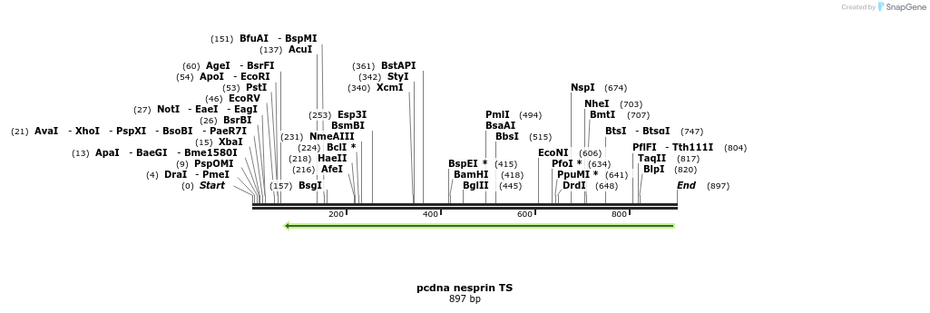 121560_map