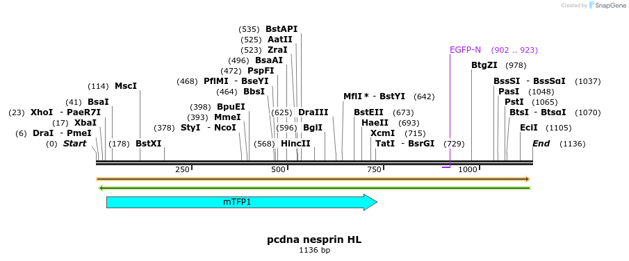 121562_map