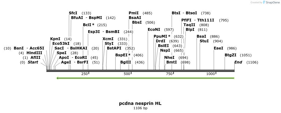 121563_map