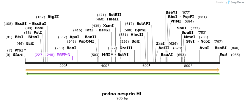 121564_map
