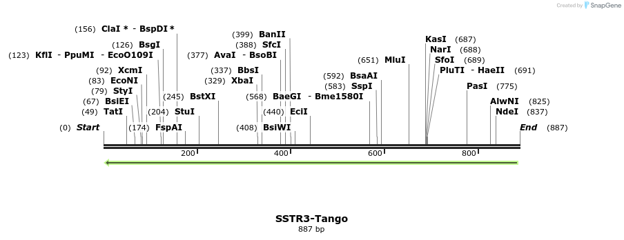 121567_map