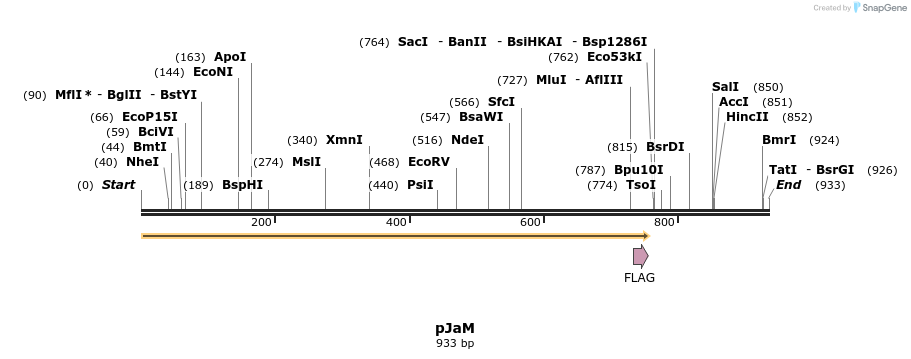 121568_map