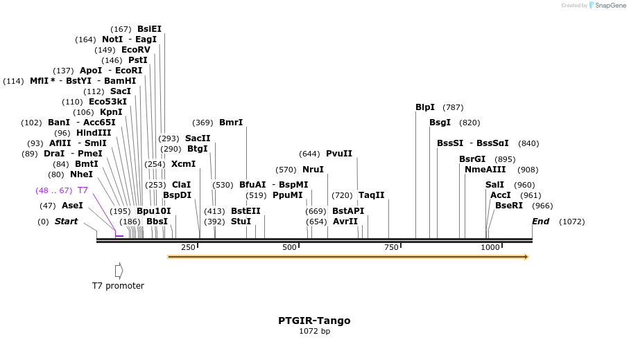121570_map