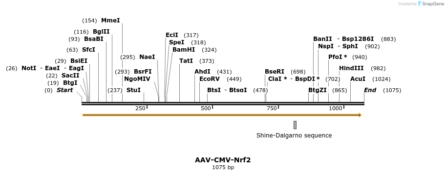 121576_map