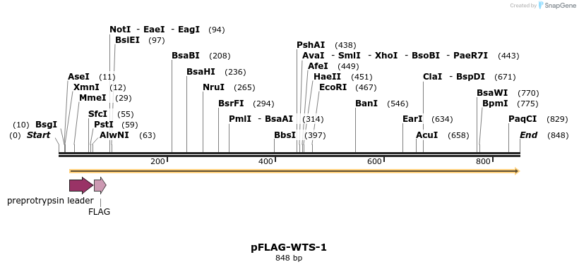 121589_map